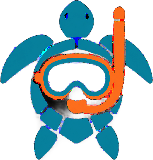 Snorkeling In Cabo San Lucas Logo