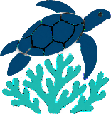 Snorkeling Seychelles Logo