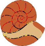 Desert Safari Sharjah Logo