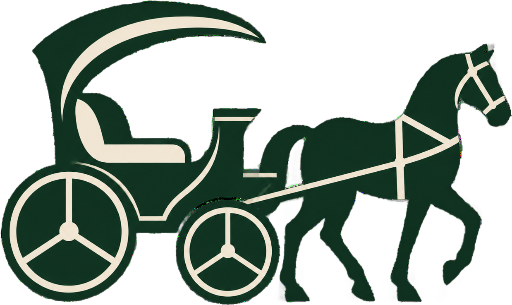 Carriage Ride In Central Park