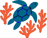 Boracay Snorkeling Logo