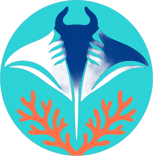 Sharm El Sheikh Diving