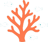 Belize Snorkeling Logo