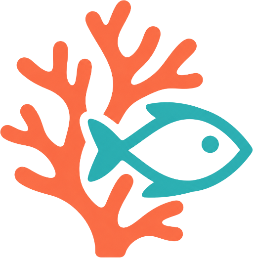 Snorkeling Cairns