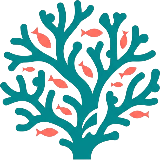 Snorkeling In Belize Logo