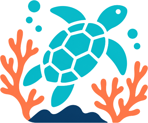 Snorkeling In Cozumel