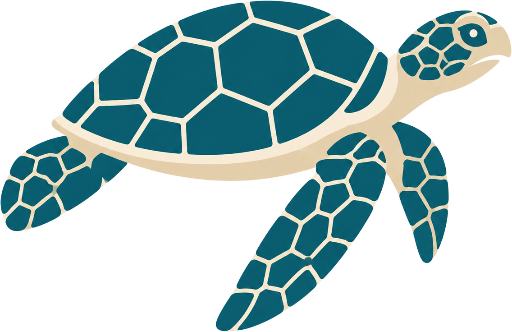 Swim With Turtles Cancun