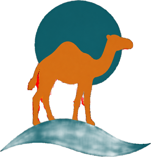 Cable Beach Camel Rides