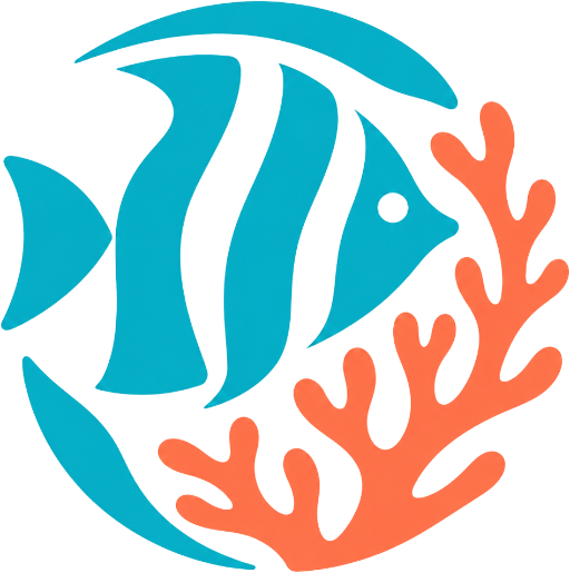 Snorkeling Punta Cana