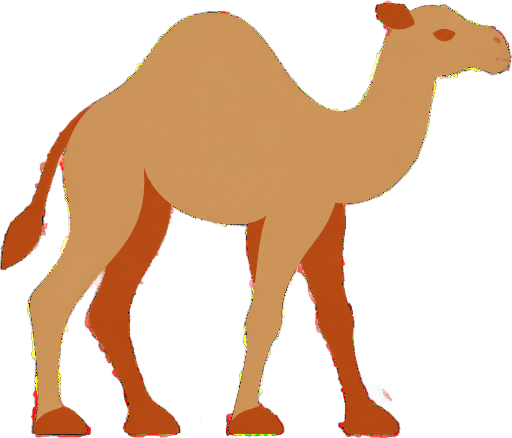 Camel Ride Dubai
