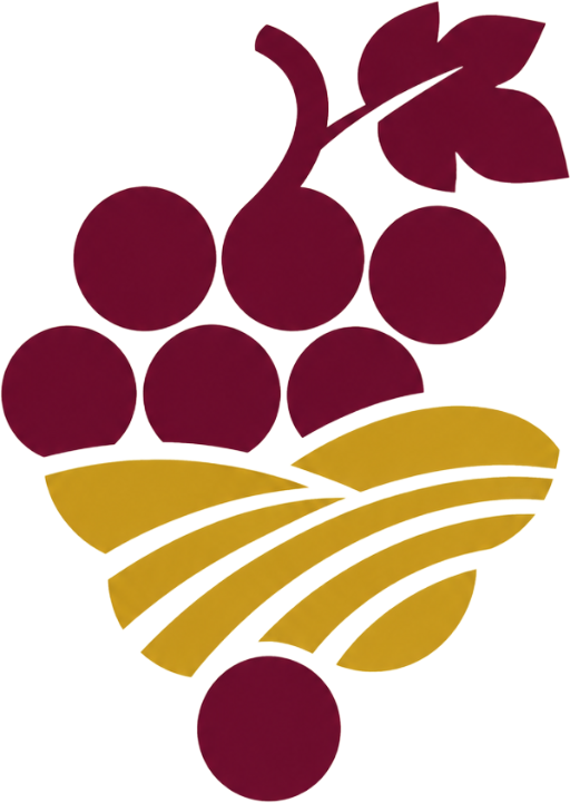 Rioja Wine Tour