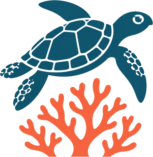 Snorkeling Karimunjawa