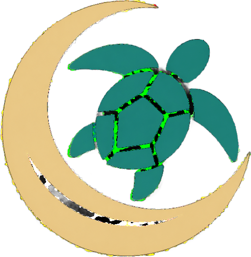 Mnemba Island Tour