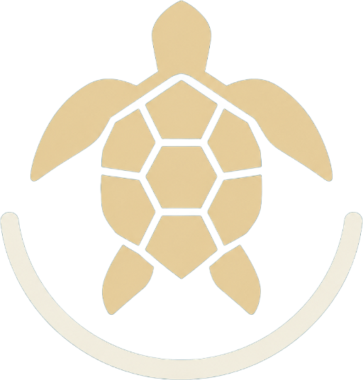 Gili Islands Snorkeling