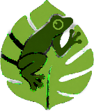 San Juan Rainforest Tour Logo