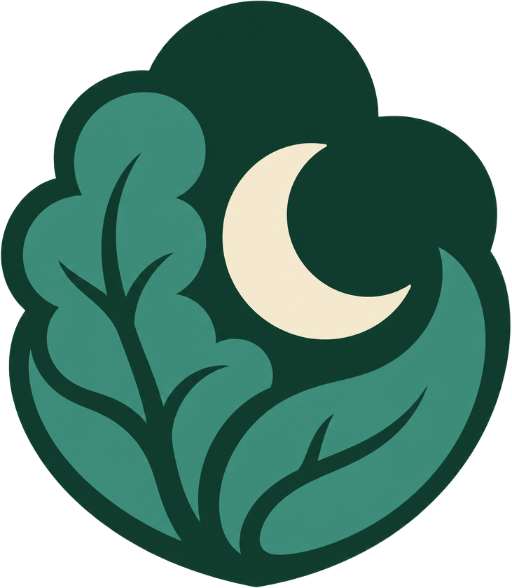 Monteverde Night Walk Tour