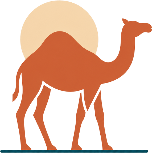 Broome Camel Ride