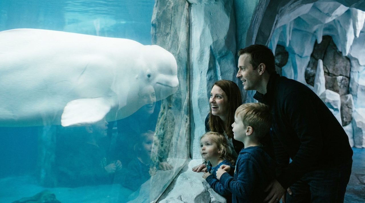 Experience