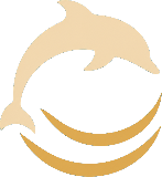 Hilton Head Dolphin Tours Logo