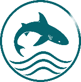 Caye Caulker Snorkeling Logo
