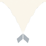 Silent Trollfjord Cruise Logo