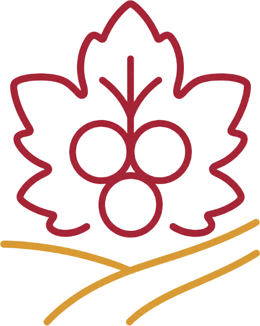 Beaujolais Wine Tour From Lyon