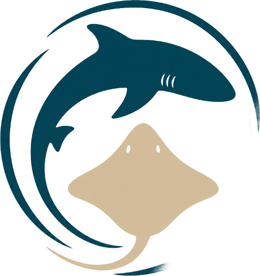 Shark Ray Alley Tour