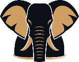 Chobe Day Safari Logo