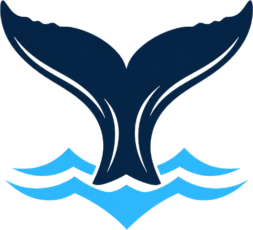 Whale Watching Punta Arenas