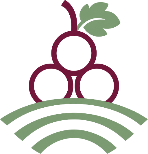 Vipava Valley Wine Tour
