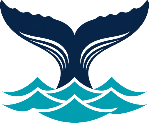 Coffs Harbour Whale Watching