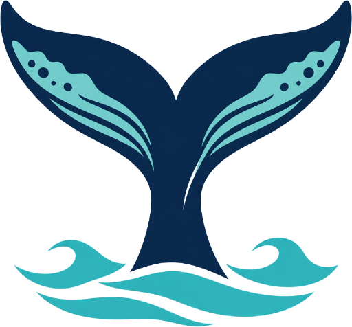 Byron Bay Whale Watching