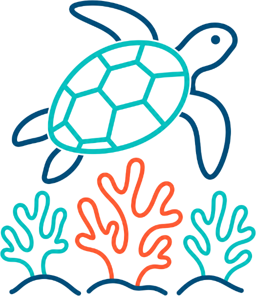 Puerto Morelos Snorkeling Tour