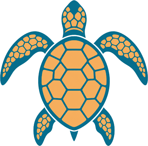 Gold Coast Turtle Snorkel