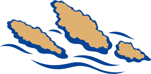Elaphite Islands Cruise