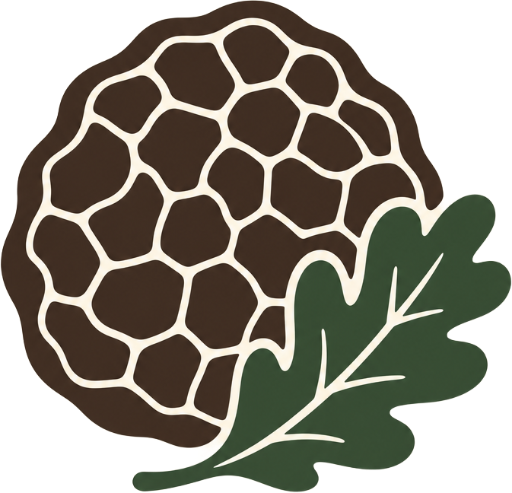 Truffle Hunting Alba