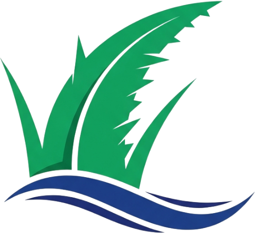 Everglades Tours