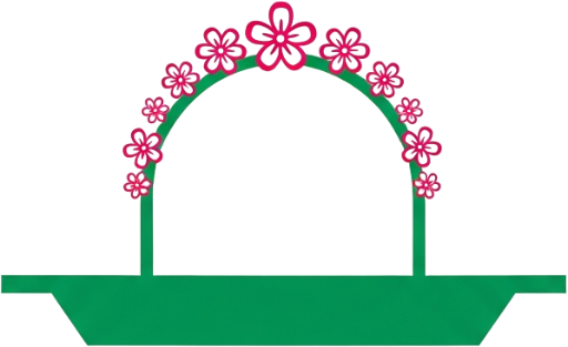 Xochimilco Tours