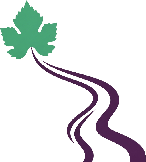 Douro Valley Tours
