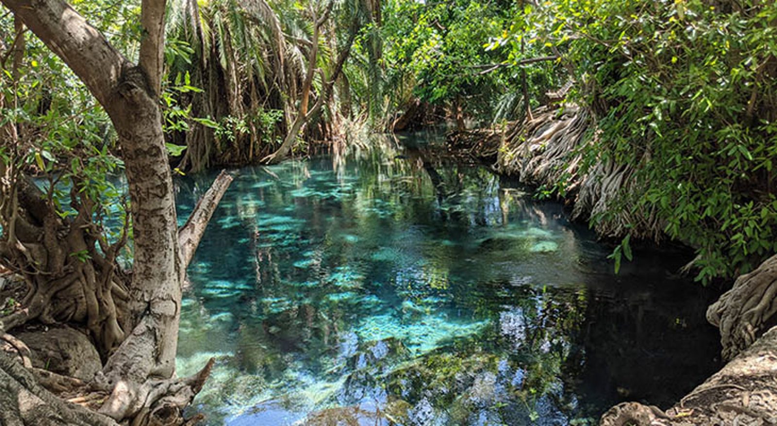 Kikuletwa River