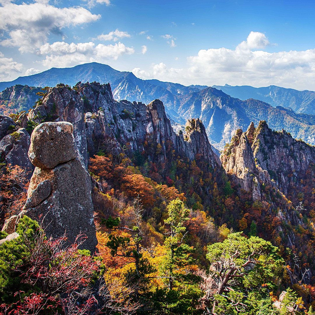 Seoraksan Day Tour From Seoul