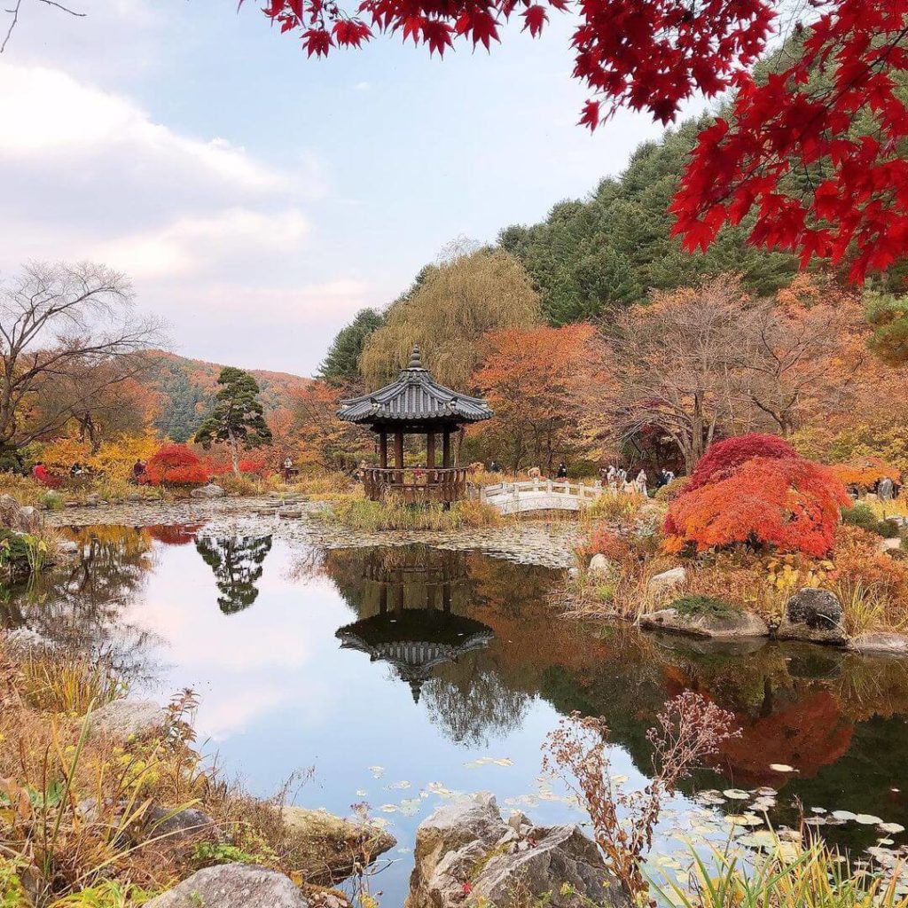 Garden of Morning Calm