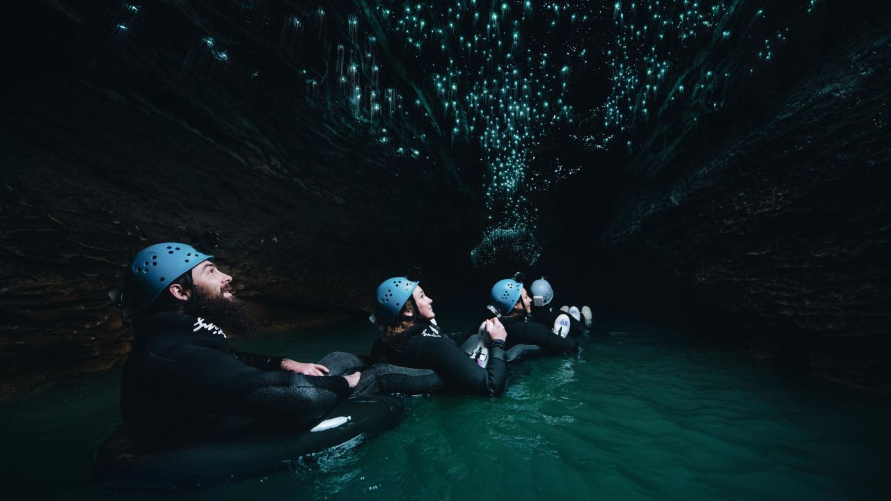 Your experience at Glow Worm Tour From Brisbane