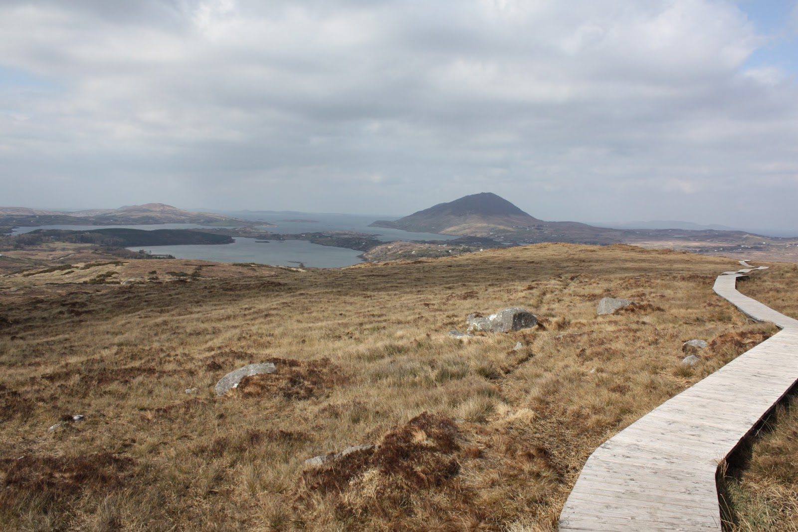 Lower Bog Trails