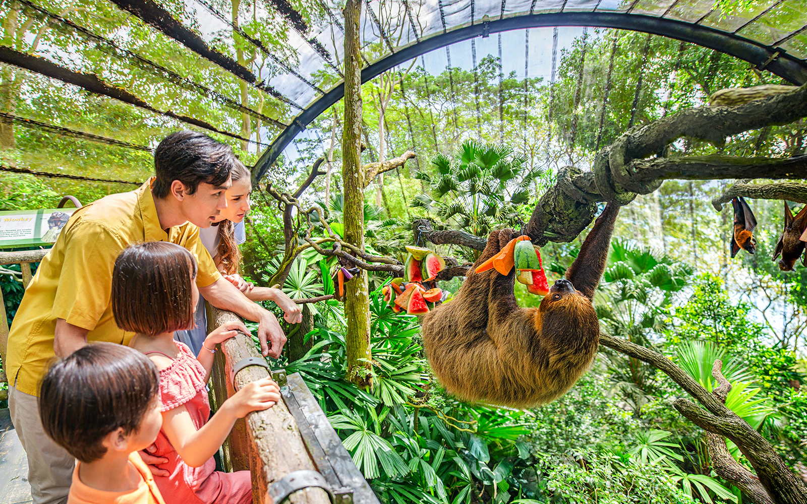 Your experience at Roatan Sloth Tours
