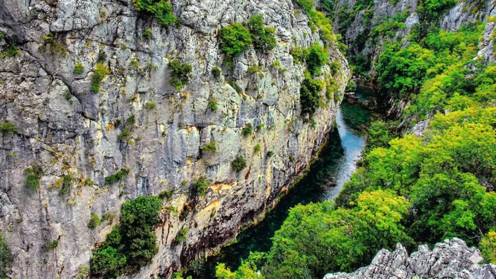Limestone Gorges