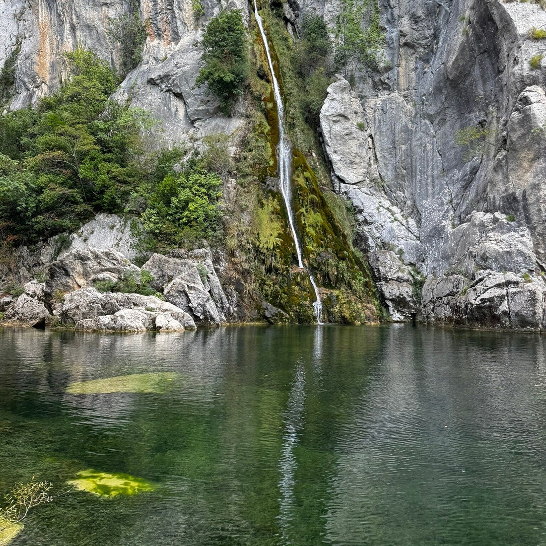Velika Gubavica