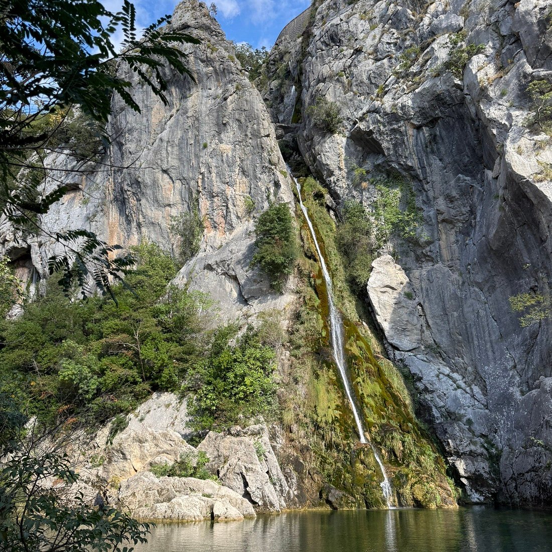 Velika Gubavica