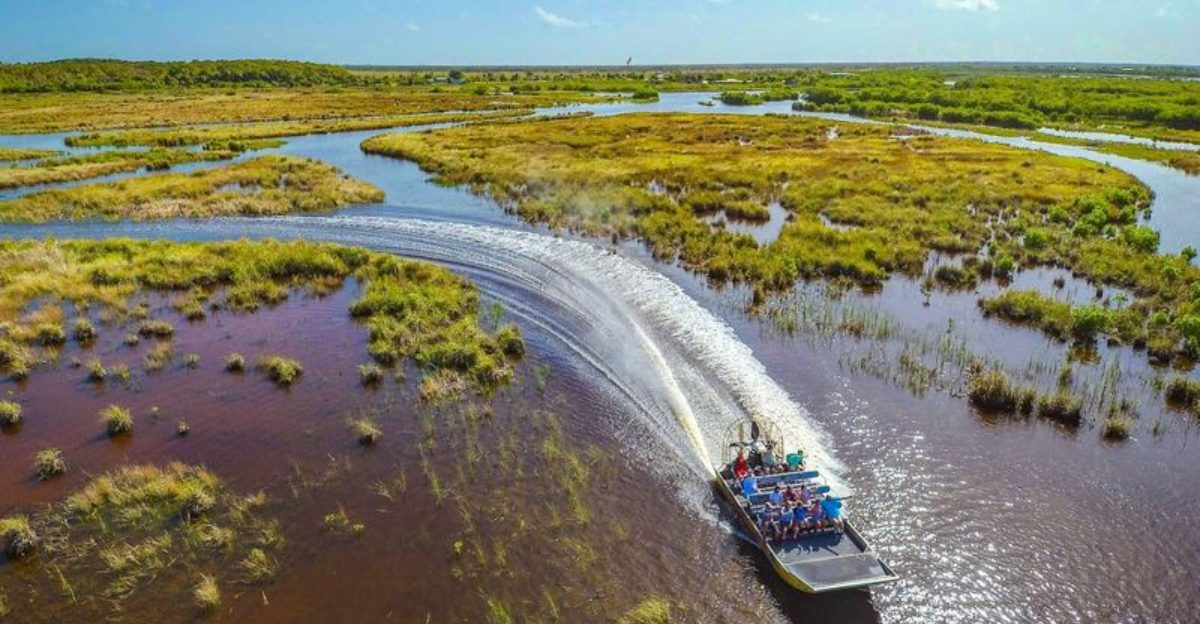 Orlando Everglades Airboat Tour Experience