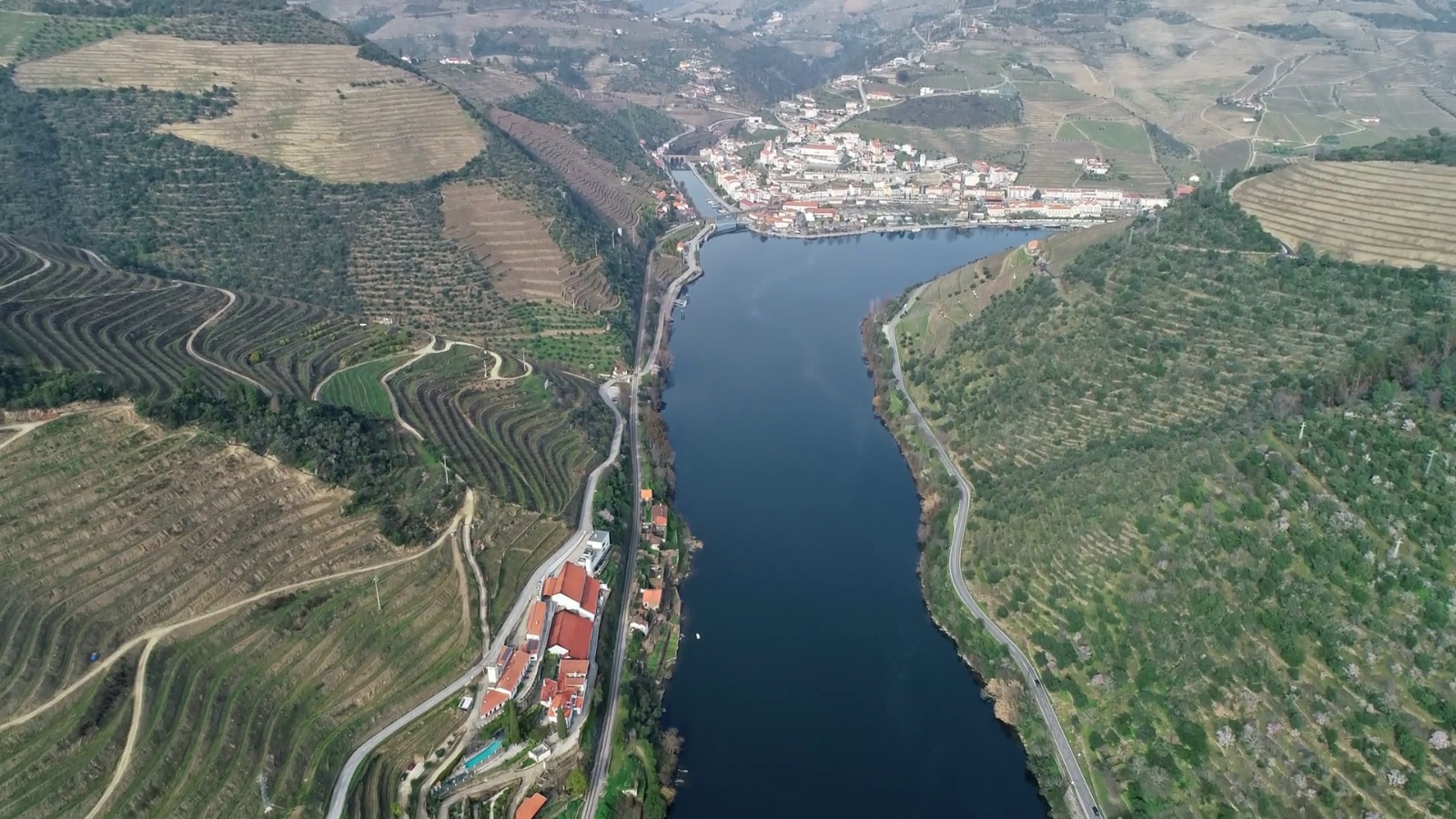 Private Douro Cruise Experience Overview